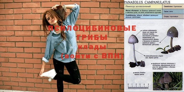 бутират Алексин
