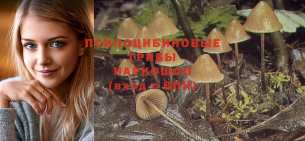 бутират Алексин