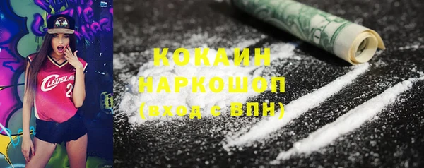 крисы Надым