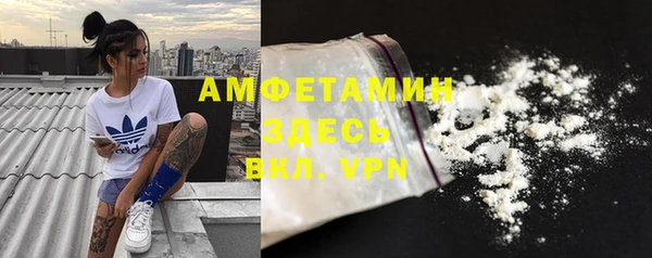 крисы Надым