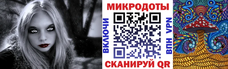 Галлюциногенные грибы Psilocybine cubensis  это какой сайт  Омутнинск 